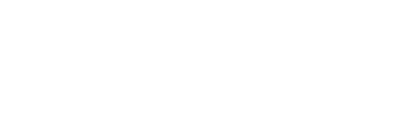 gmvauction logo